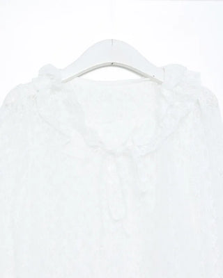 Frill neck sheer blouse