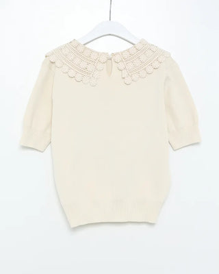 Lace Collar Puff Short Sleeve Knit