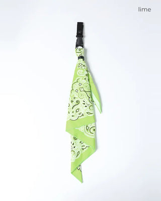 Paisley Point Keyring