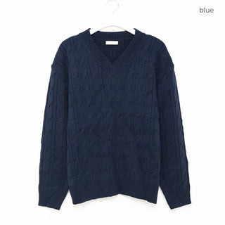 (Unisex) Cable Simple V-Neck Knit