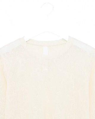 Butterfly Lace See-Through Cut and Sew Top