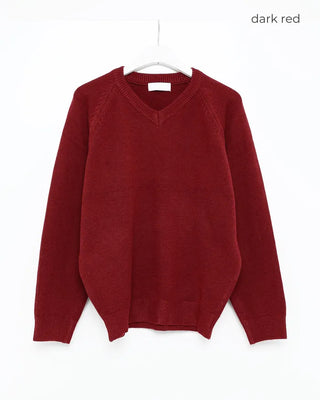 (Unisex) V-neck raglan high-gauge knit
