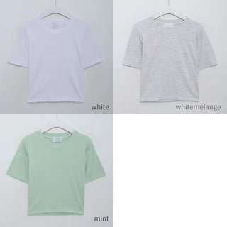 Crop Basic T-Shirt