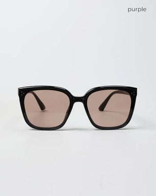 Wellington frame sunglasses