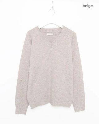 Regular Fit V-Neck Knit