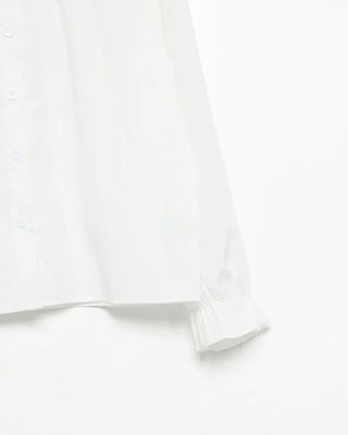 Big frill collar blouse