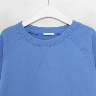 Stitched raglan sweatshirt