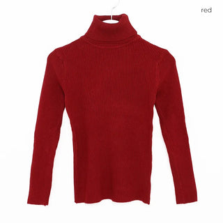 Ribbed turtleneck knit