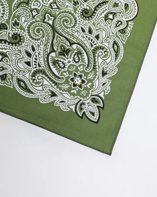 Paisley pattern bandana
