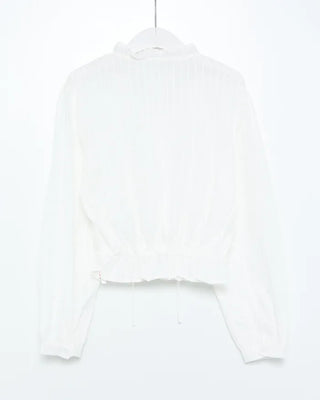Lace neck striped button blouse