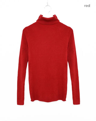Basic turtleneck knit
