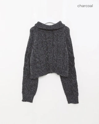 Cable Cropped Turtleneck Knit