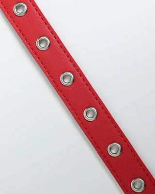 Basic Studded Belt