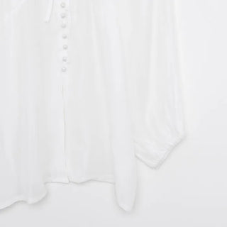 Deep V-neck sheer blouse