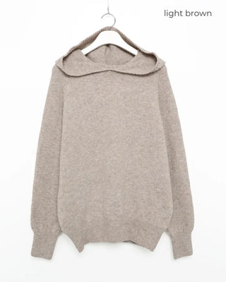 Wool knit hoodie