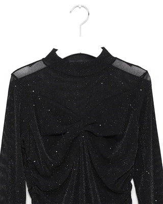 Glitter sheer top