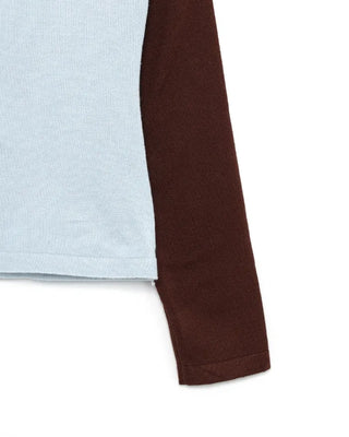 Raglan sleeve color-point knit