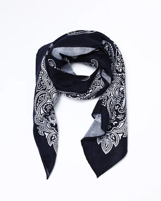 Paisley Handkerchief