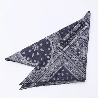 Paisley scarf