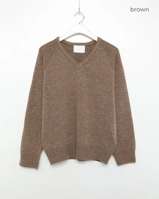V-neck raglan knit