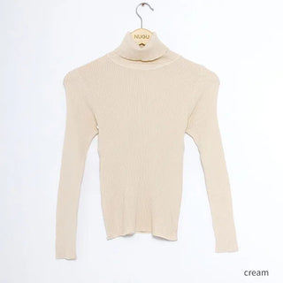 Ribbed turtleneck knit
