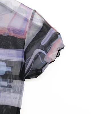 Graphic Mesh Cropped T-Shirt