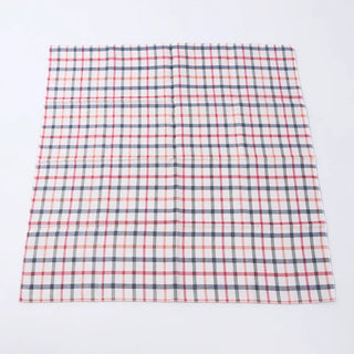 Checked scarf