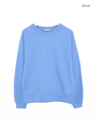 Stitched raglan sweatshirt