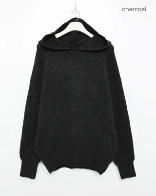 Wool knit hoodie