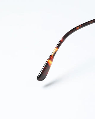 Oval Bold Frame Glasses