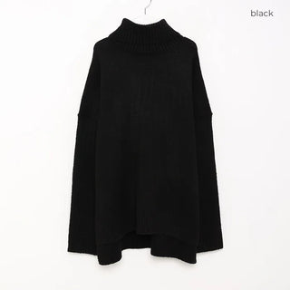 Turtleneck long knit