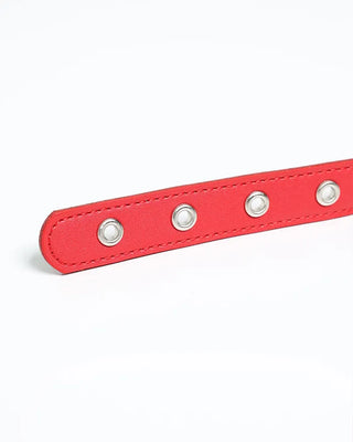 Basic Studded Belt