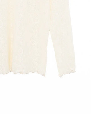 Butterfly Lace See-Through Cut and Sew Top