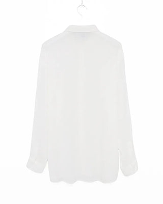 Pleated sheer long-sleeved shirt