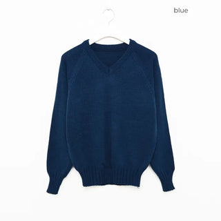 V-neck raglan sleeve knit