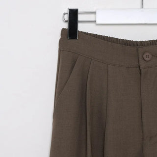 Double-pleated wide-leg slacks