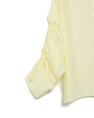 Sleeve Drawstring Cropped Sheer Shirt