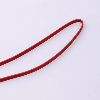 Strap Glasses Case