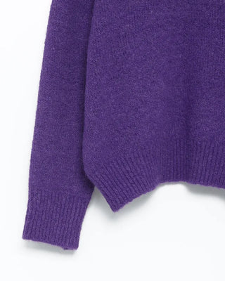 Vivid Color Brushed Knit