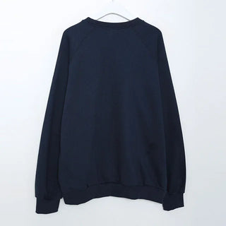 Raglan Sleeve Lettering Sweatshirt