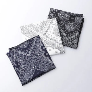 Paisley scarf