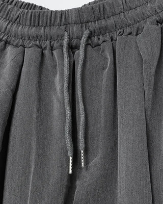 Pleated wide-leg fit pants