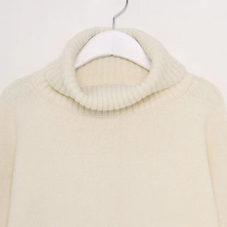 Turtleneck long knit