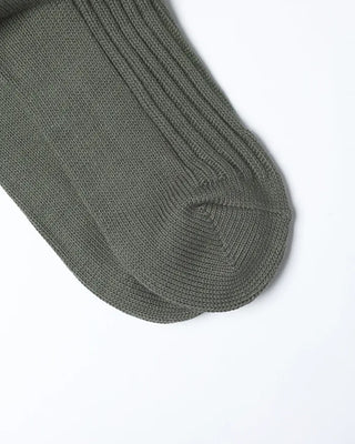 Color Point Socks