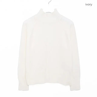 Soft turtleneck knit