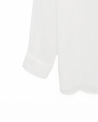 Pleated sheer long-sleeved shirt