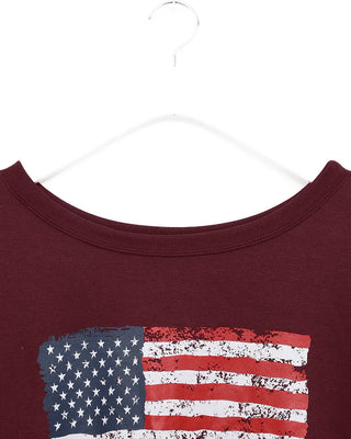 USA Flag Trainer