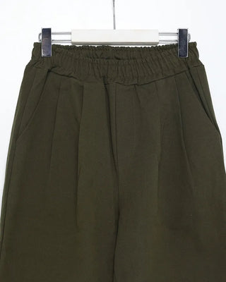 Elastic waistband, two-pleat wide-leg pants