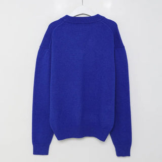 (Unisex) Basic V-neck knit