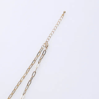 Coin Charm Layered Necklace